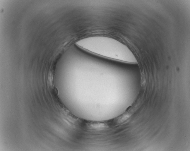 X0000066540669200603171242