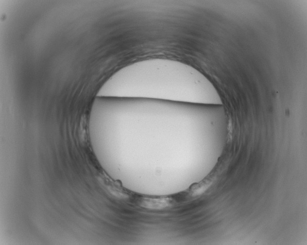 X0000066540671200603171242