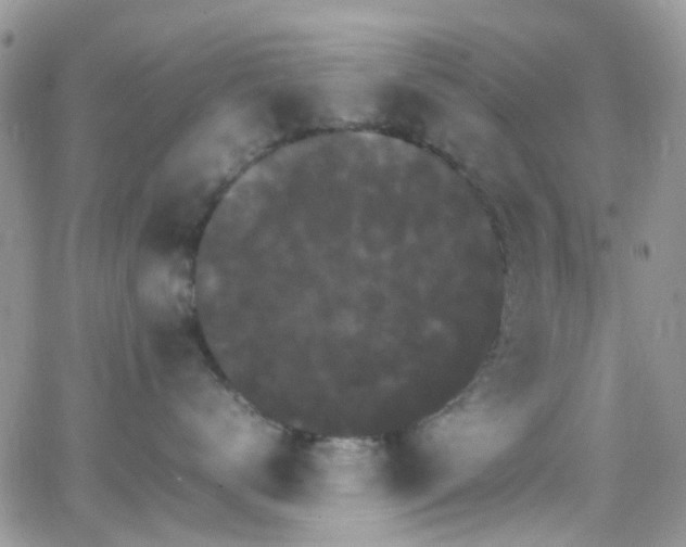 X0000066540672200603171242