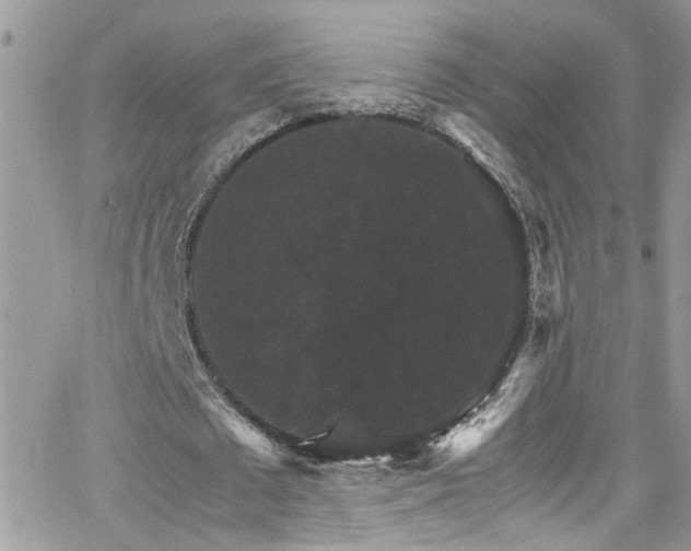 X0000066540673200603171241