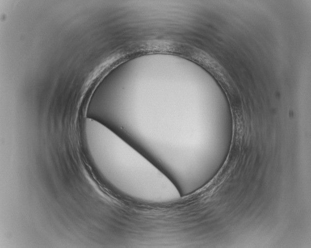 X0000066540674200603171241