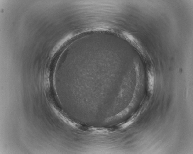 X0000066540676200603171241