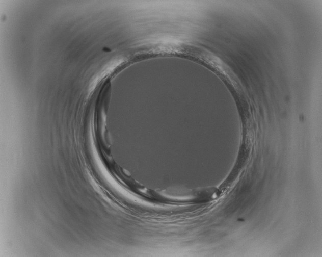 X0000066540677200603171241