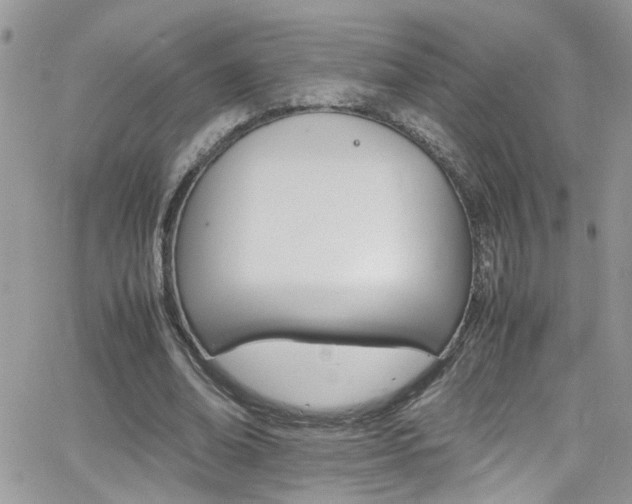 X0000066540678200603171241