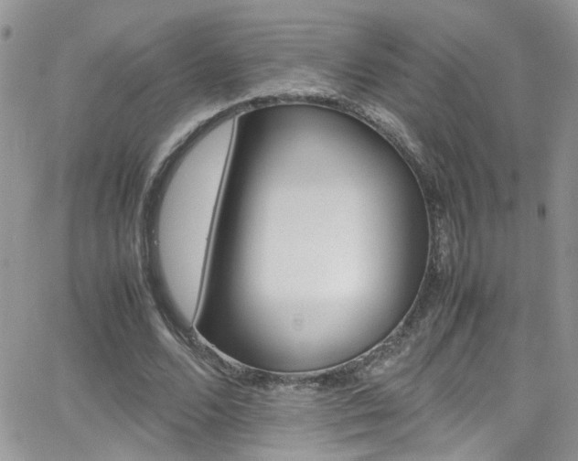 X0000066540680200603171241