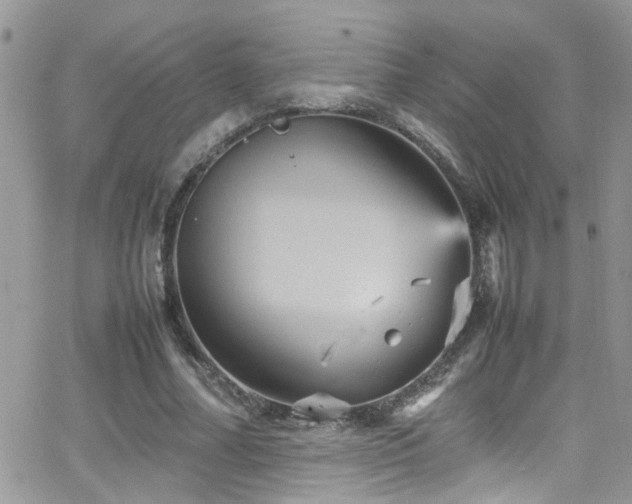 X0000066540682200603171241