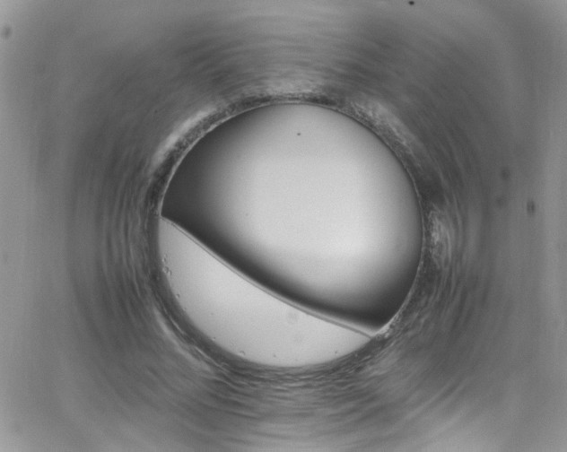 X0000066540684200603171241