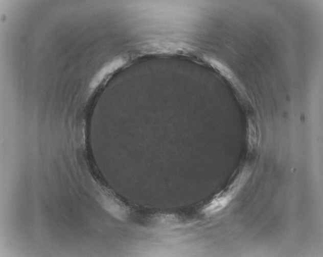 X0000066540685200603171241