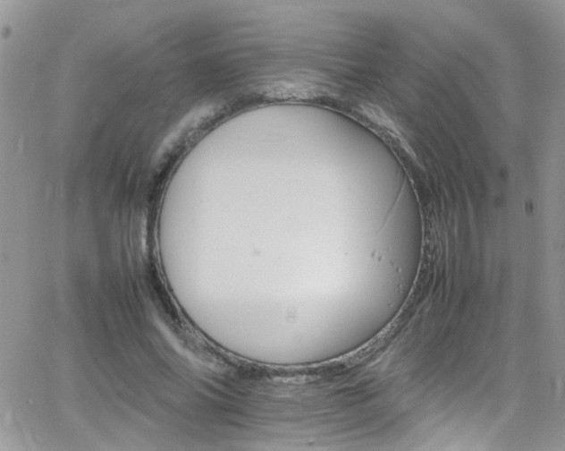 X0000066540686200603171241