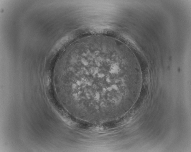 X0000066540687200603171241