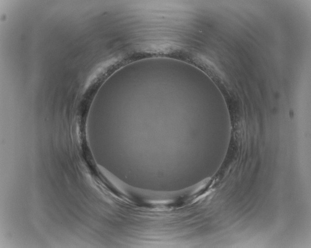 X0000066540688200603171241