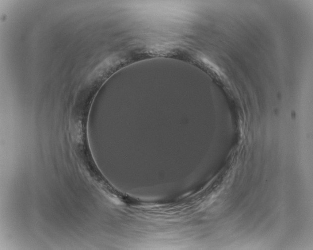 X0000066540689200603171241