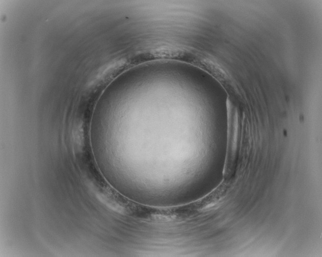 X0000066540690200603171241