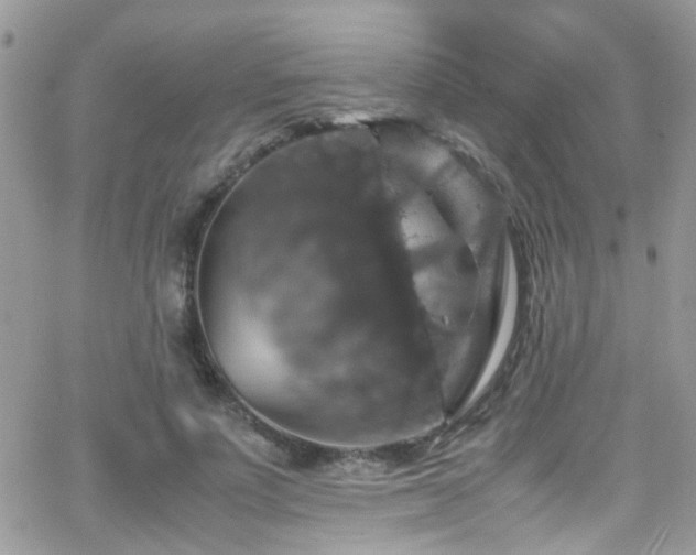 X0000066540691200603171241