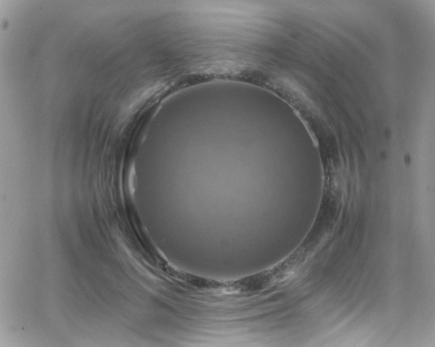 X0000066540692200603171241