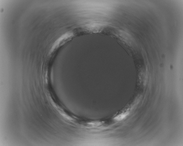 X0000066540693200603171241