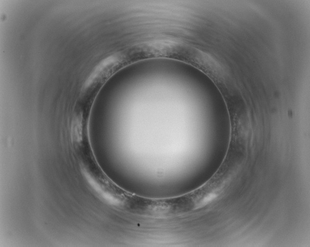 X0000066540694200603171241