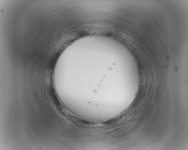 X0000066540695200603171241