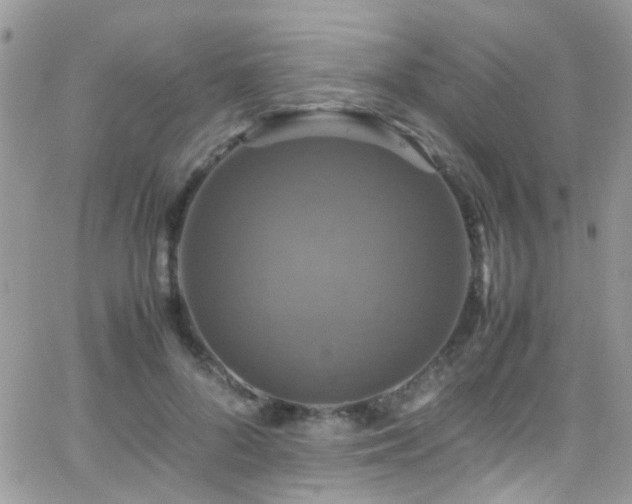 X0000066540696200603171241