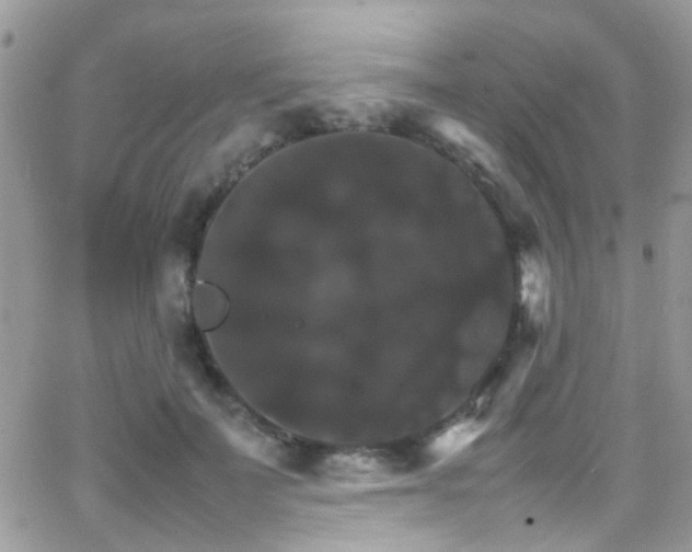 X0000066540699200603171241