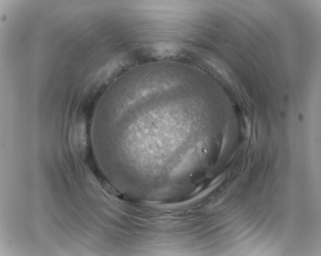 X0000066540700200603171241