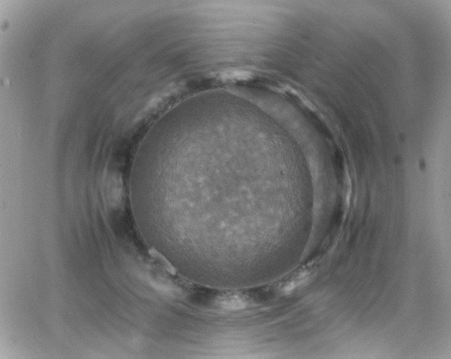 X0000066540704200603171241