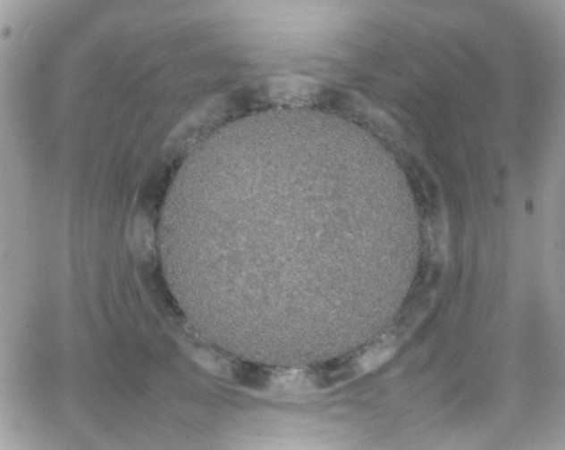 X0000066540705200603171241