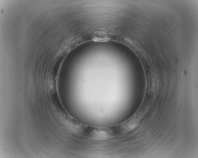 X0000066540706200603171241