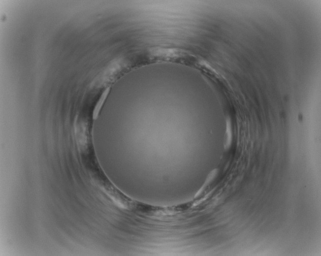 X0000066540708200603171241