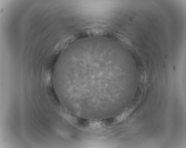 X0000066540709200603171241