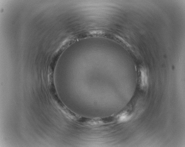 X0000066540712200603171241