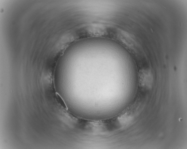 X0000066540713200603171241