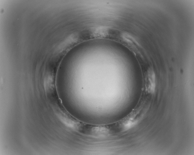 X0000066540714200603171241