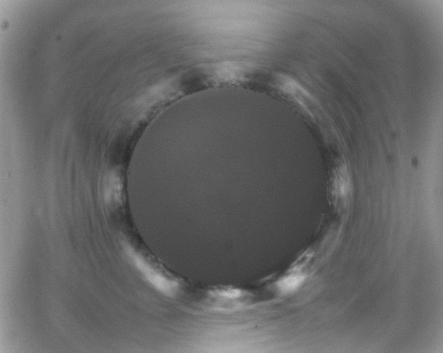 X0000066540715200603171241