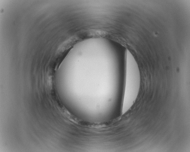 X0000066540716200603171241