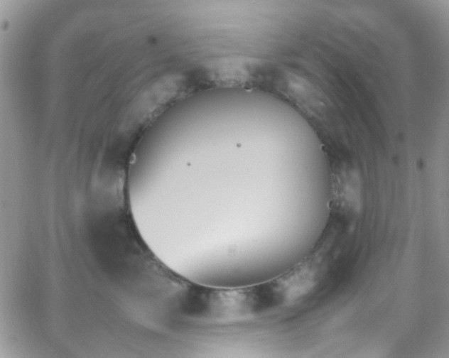 X0000066540717200603171240