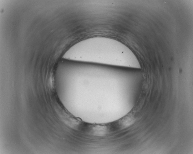 X0000066540718200603171240