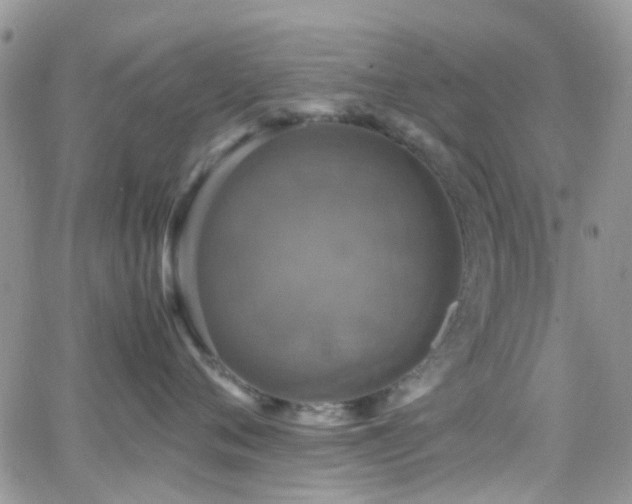 X0000066540720200603171240