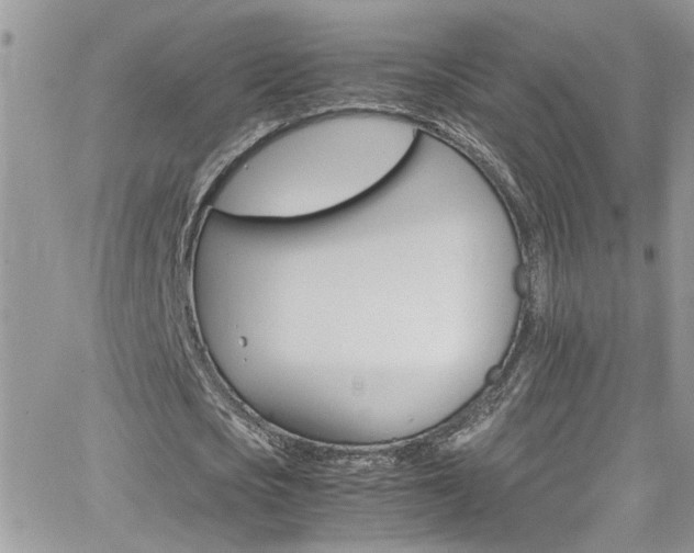 X0000066540721200603171240