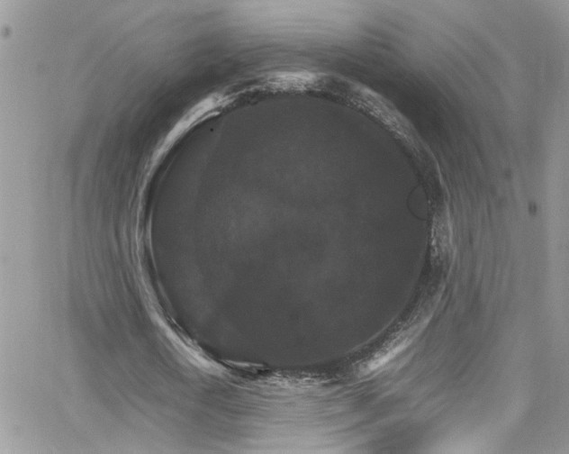 X0000066540722200603171240