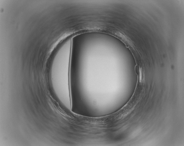 X0000066540723200603171240