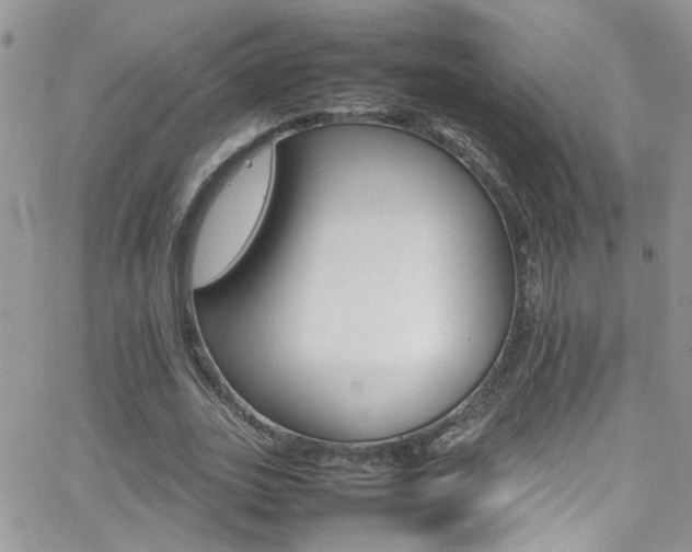 X0000066540727200603171240