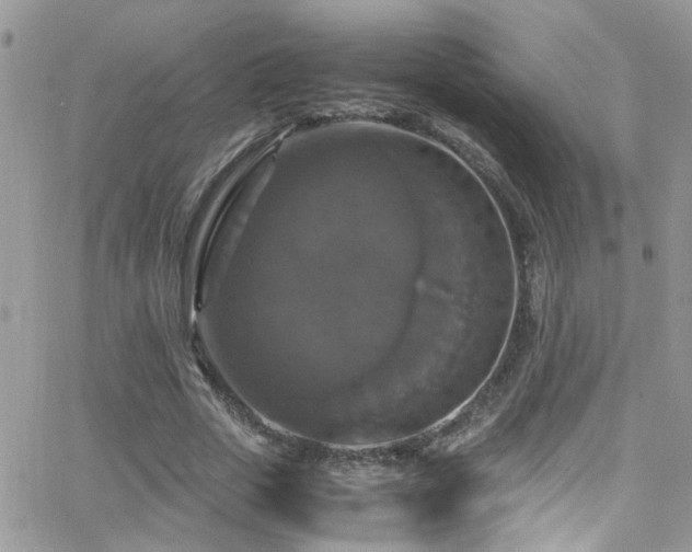 X0000066540729200603171240