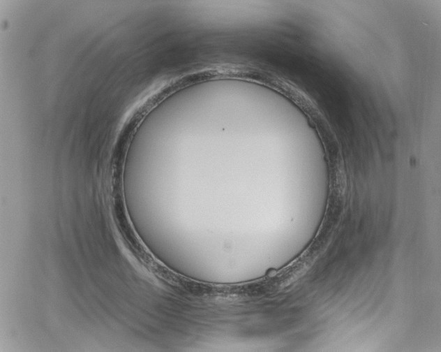 X0000066540730200603171240