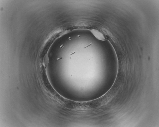 X0000066540731200603171240