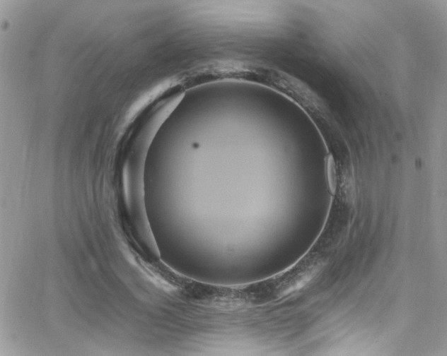 X0000066540732200603171240