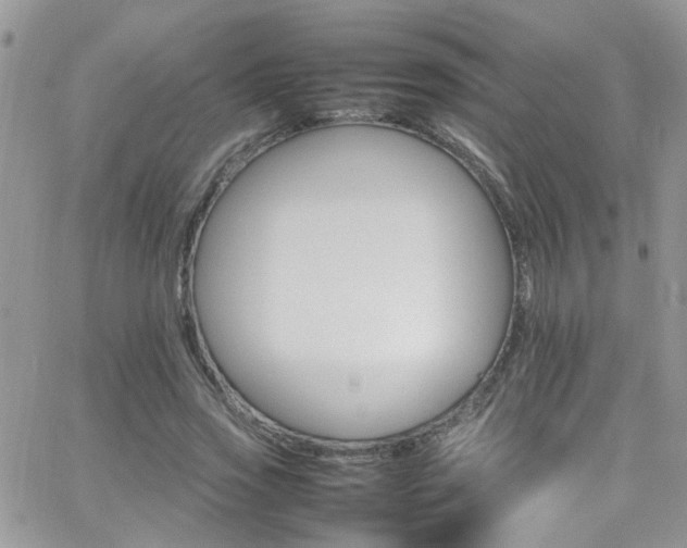 X0000066540733200603171240