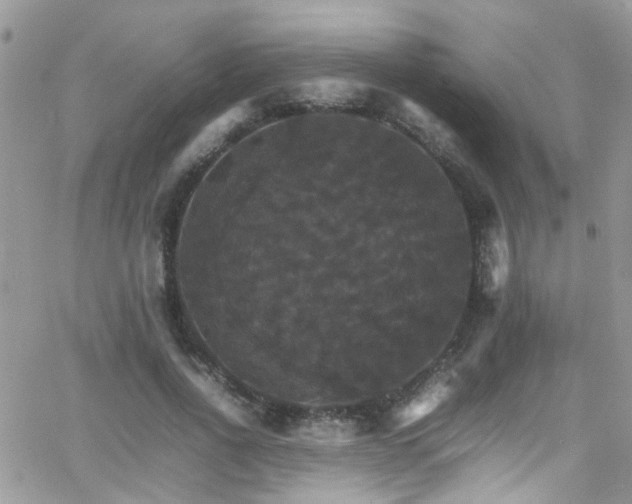 X0000066540734200603171240