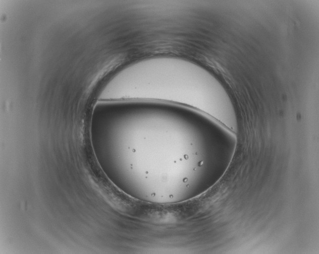 X0000066540735200603171240