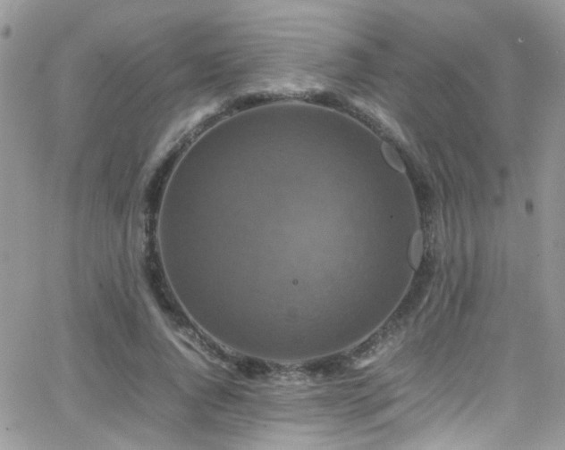 X0000066540736200603171240